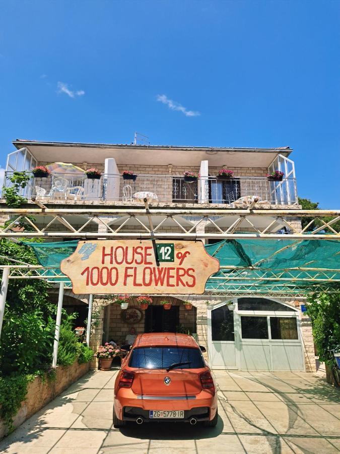 Apartments 1000 Flowers สตารีกราด ภายนอก รูปภาพ